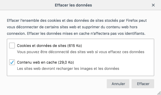 Menu Avancé - Cliquez sur le bouton Vider maintenant