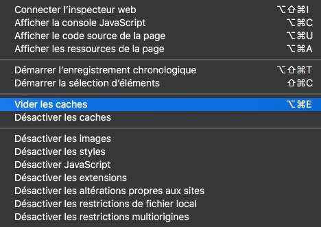 Menu Développement - Cliquez sur le bouton Vider les caches